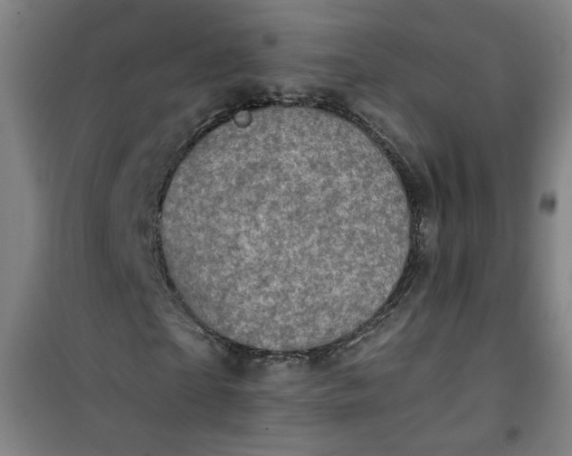 X0000101140865200807110940