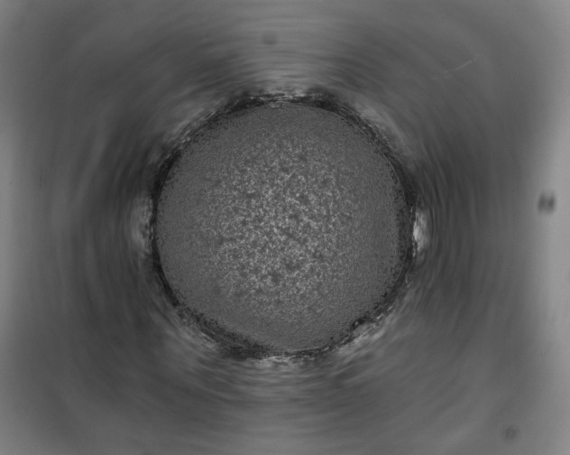 X0000101140867200807110940