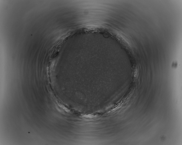 X0000101140868200807110940