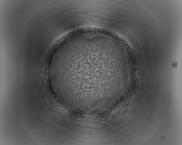 X0000101140870200807110940