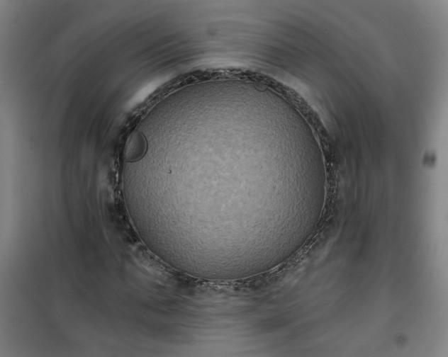 X0000101140871200807110940