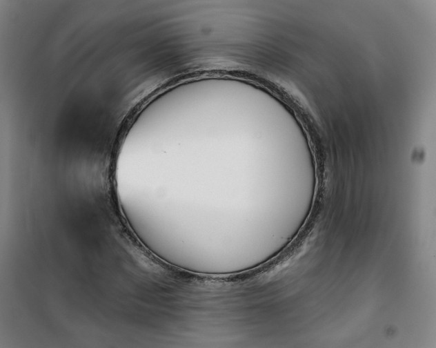 X0000101140873200807110940