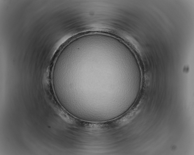 X0000101140875200807110940