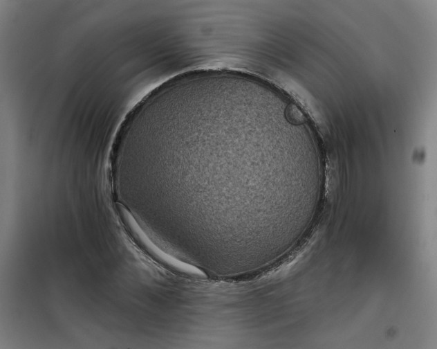 X0000101140876200807110940