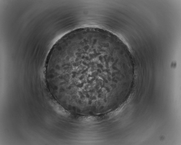 X0000101140879200807110940