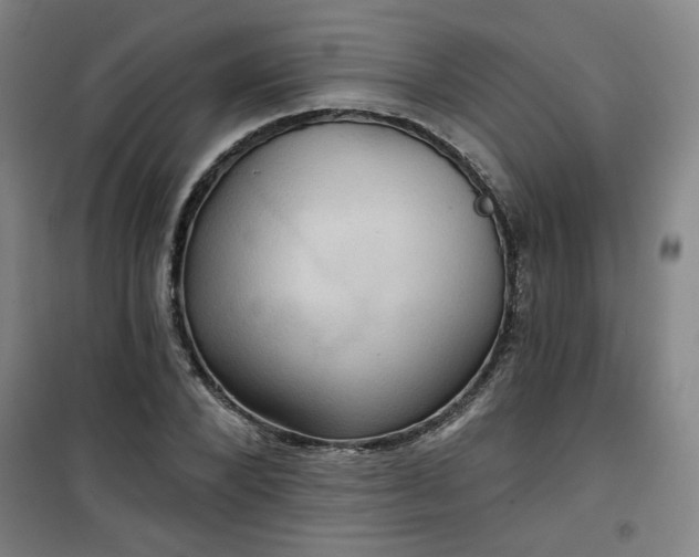 X0000101140880200807110940