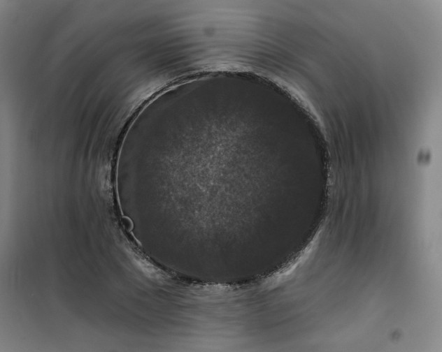 X0000101140881200807110940