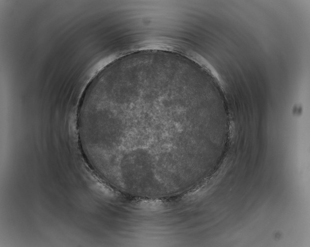 X0000101140882200807110940