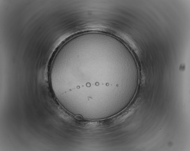 X0000101140883200807110940