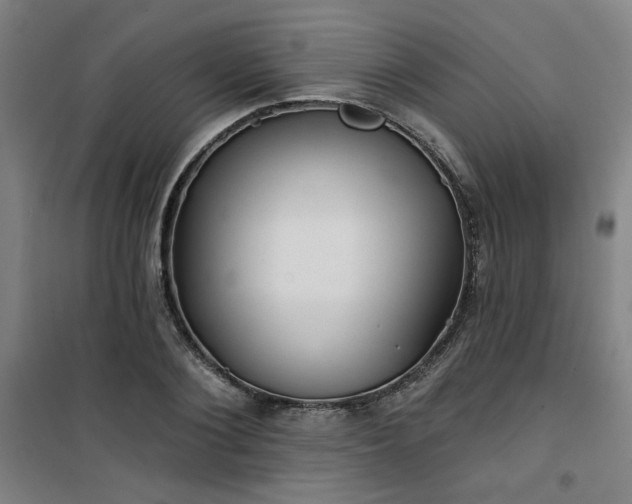 X0000101140884200807110940