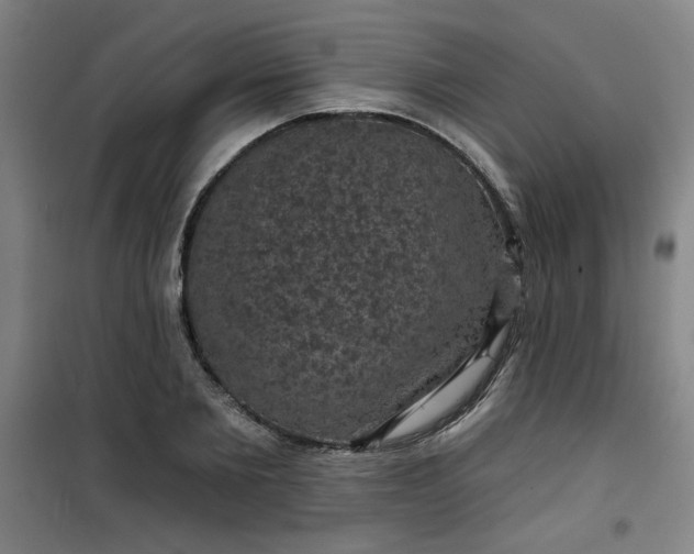 X0000101140885200807110940