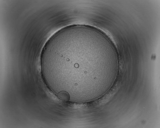 X0000101140887200807110940