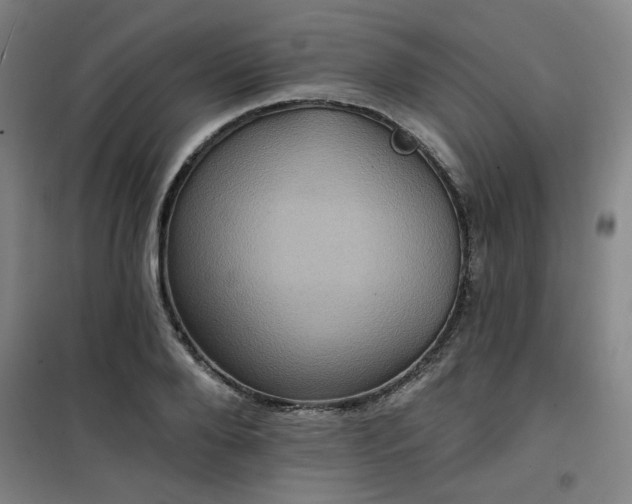 X0000101140888200807110940