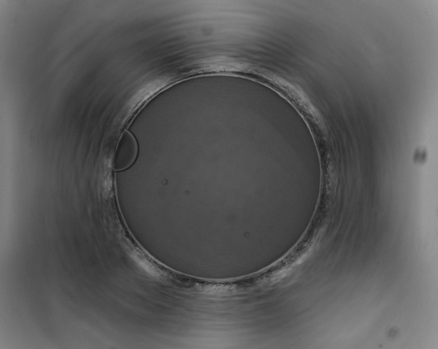 X0000101140889200807110940