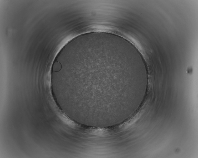 X0000101140891200807110940