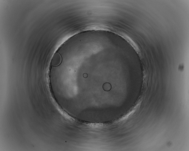 X0000101140893200807110940