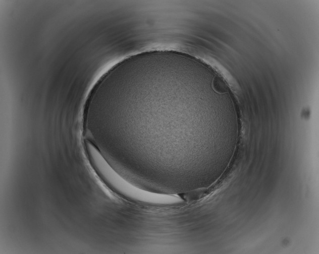 X0000101140894200807110939