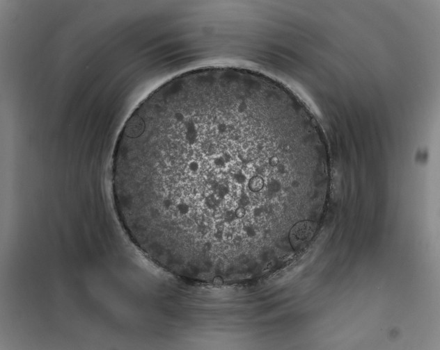 X0000101140895200807110939