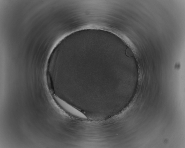 X0000101140896200807110939