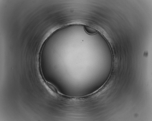 X0000101140898200807110939