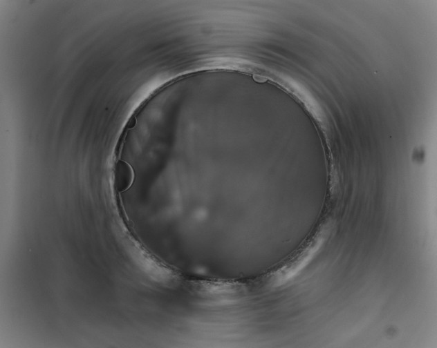 X0000101140899200807110939