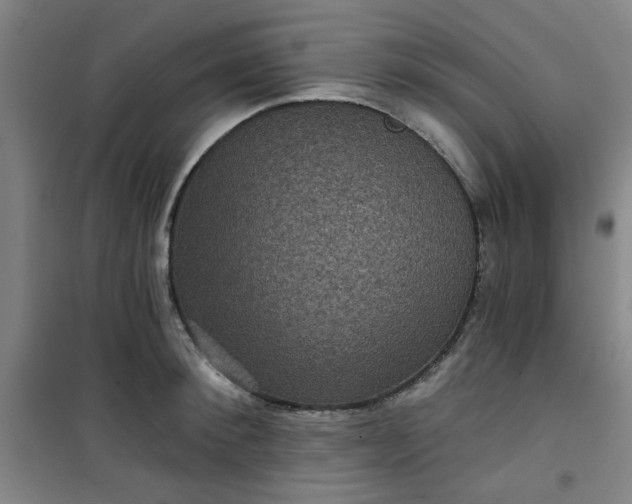 X0000101140900200807110939