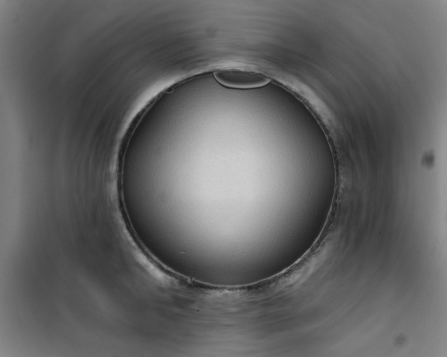 X0000101140902200807110939