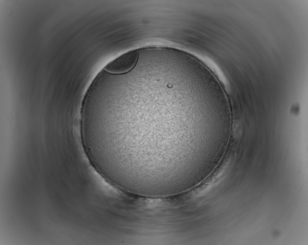 X0000101140903200807110939