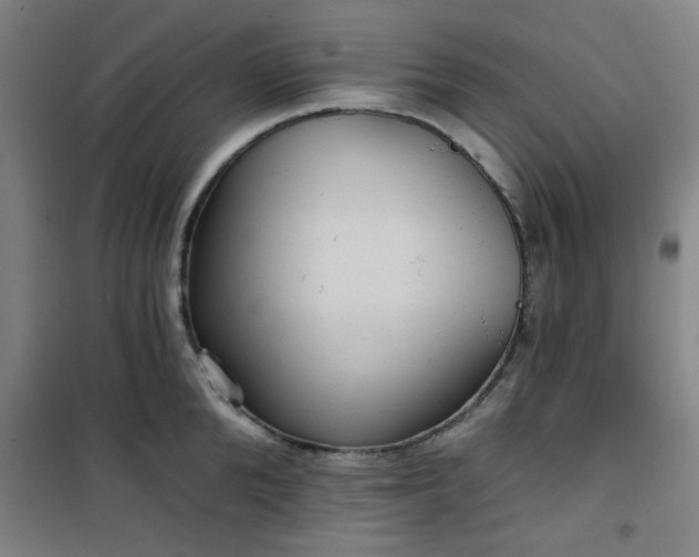 X0000101140904200807110939