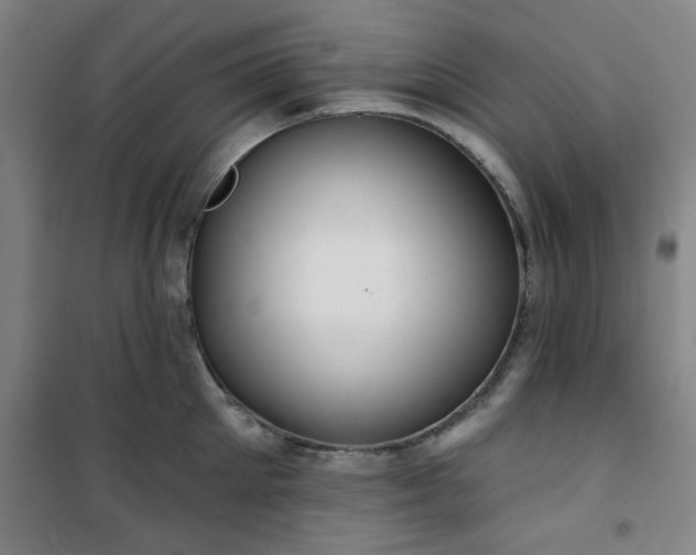 X0000101140905200807110939