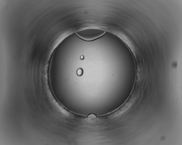 X0000101140906200807110939