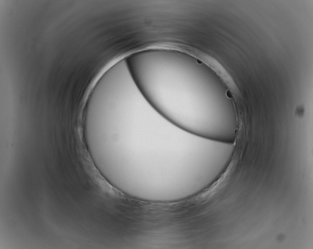 X0000101140908200807110939