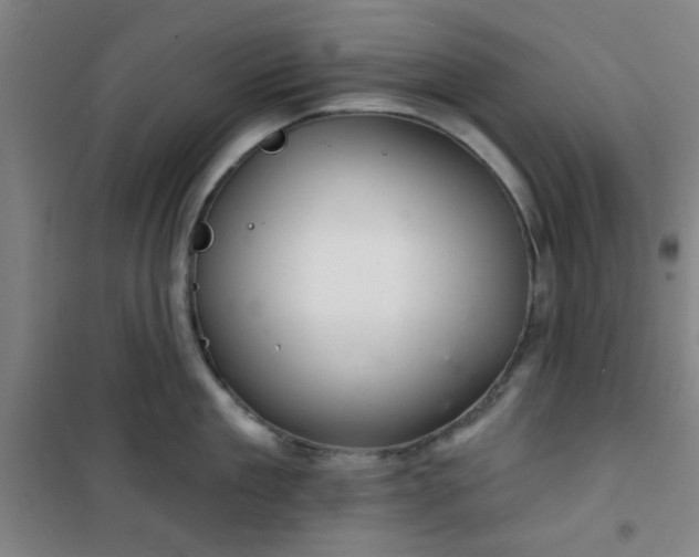 X0000101140909200807110939