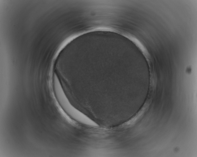 X0000101140910200807110939