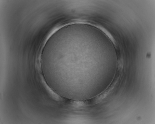 X0000101140911200807110939