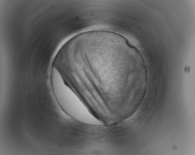 X0000101140912200807110939