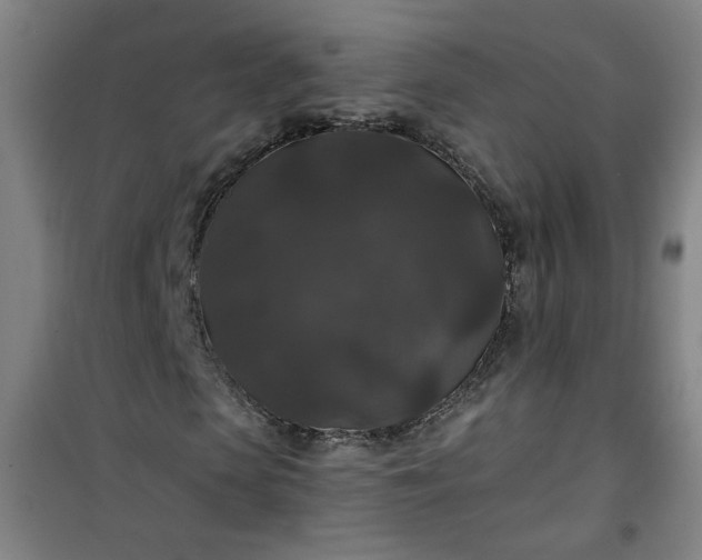 X0000101140913200807110938