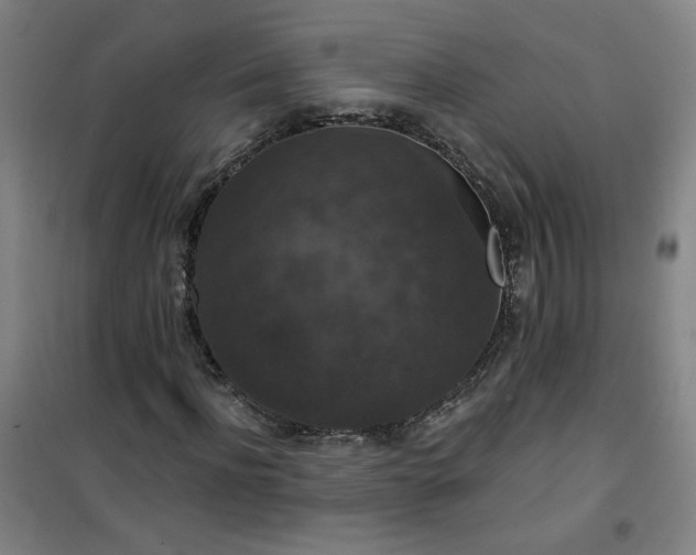 X0000101140916200807110939