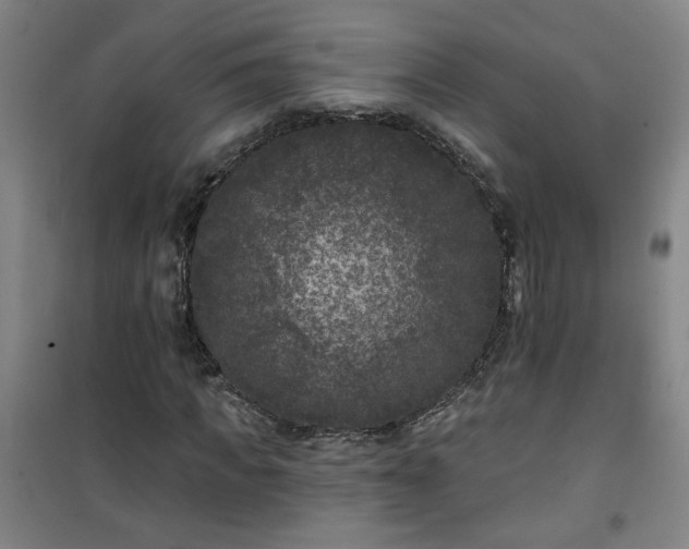 X0000101140917200807110939