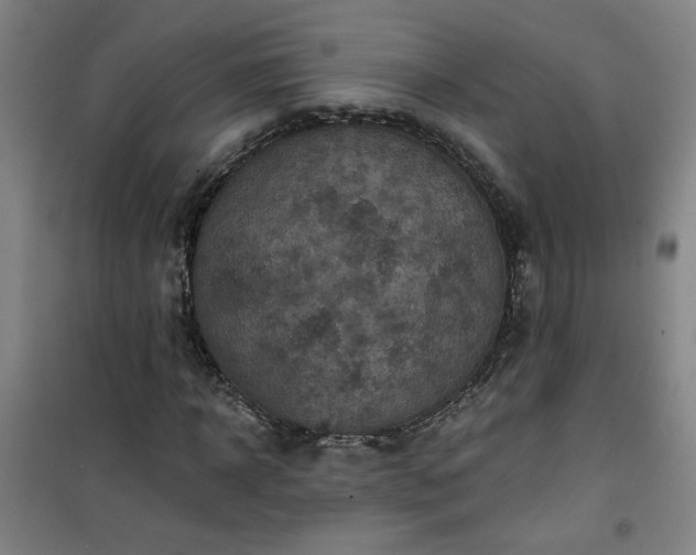 X0000101140918200807110939