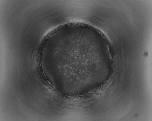 X0000101140919200807110939