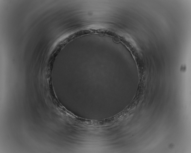 X0000101140920200807110939