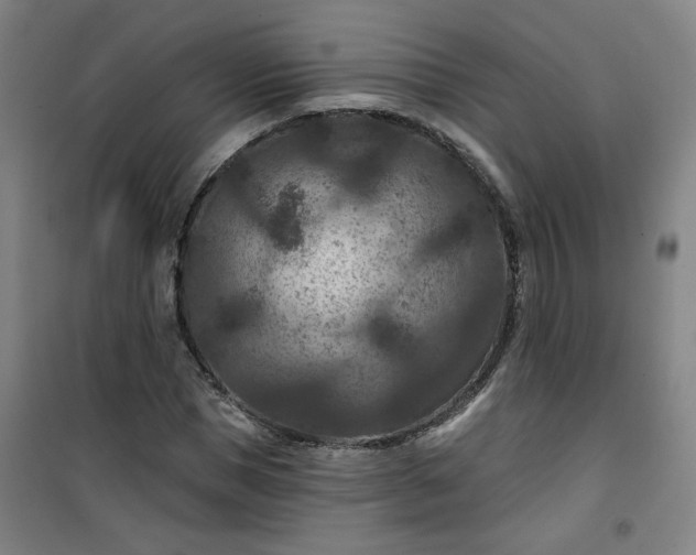 X0000101140921200807110939