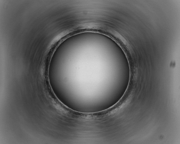 X0000101140922200807110939