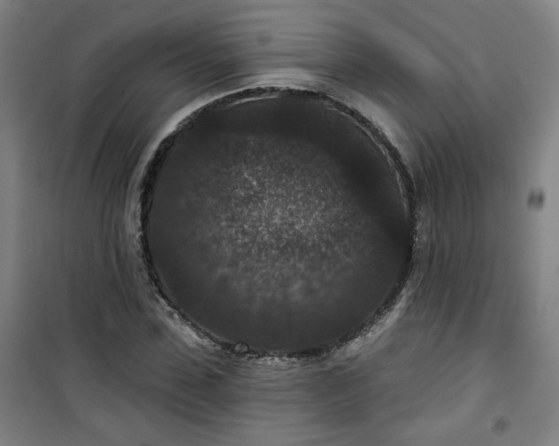 X0000101140923200807110939