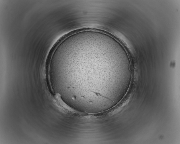 X0000101140924200807110939