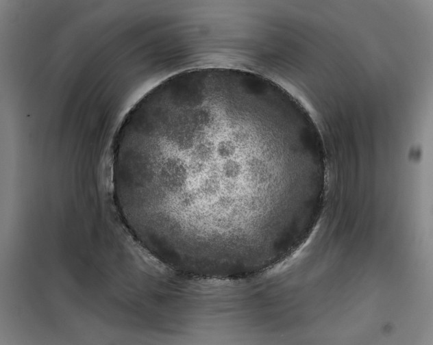 X0000101140925200807110939