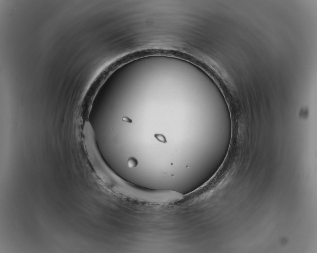 X0000101140926200807110939