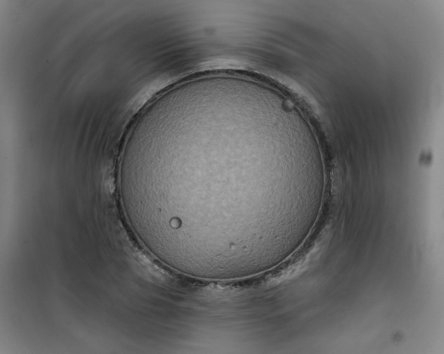 X0000101140929200807110939