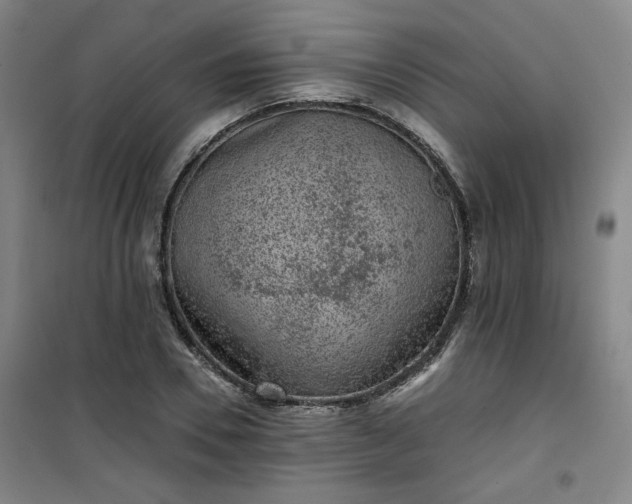 X0000101140930200807110939